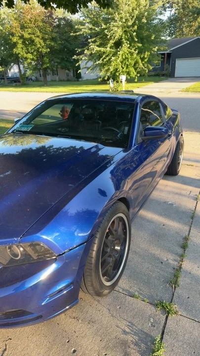 2013 Ford S197 Mustang - Image 13 of 16