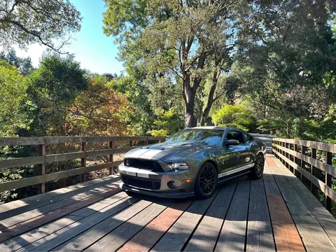 2013 Ford Mustang Shelby GT500 Cobra Coupe 2D