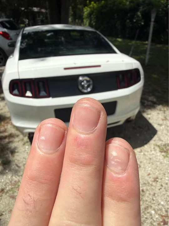2013 Ford S197 Mustang - Image 6 of 14
