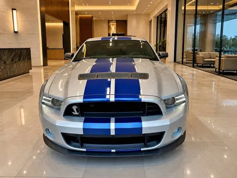 2013 Ford Shelby GT500 Base