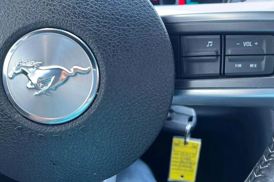 2013 Ford S197 Mustang - Image 19 of 19