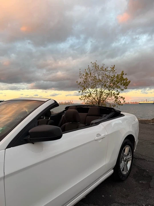 2013 Ford S197 Mustang - Image 13 of 14