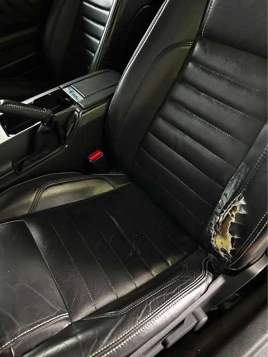 2013 Ford S197 Mustang - Image 14 of 14