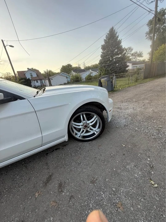 2013 Ford S197 Mustang - Image 2 of 13