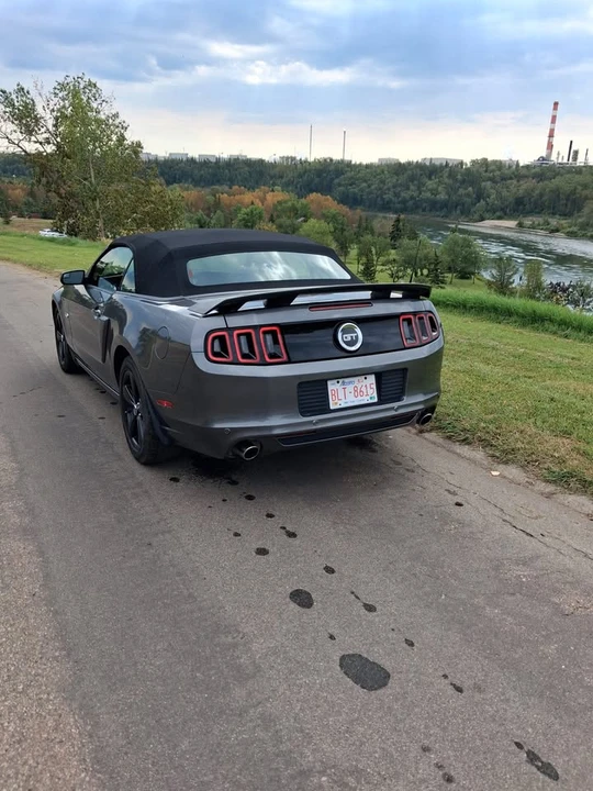 2013 Ford S197 Mustang GT - Image 11 of 16