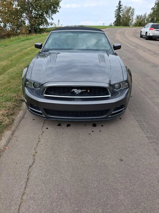 2013 Ford S197 Mustang GT - Image 13 of 16