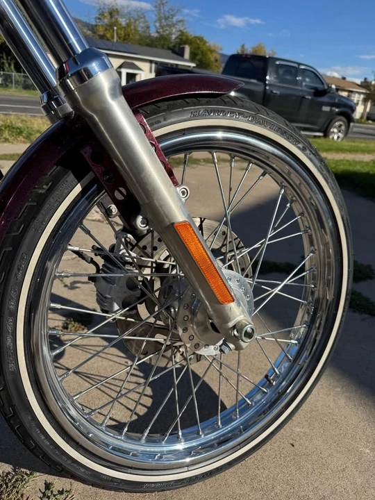 2013 Harley-Davidson Sportster Rubber Mount - Image 3 of 5