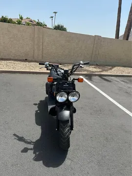 2013 Honda Ruckus
