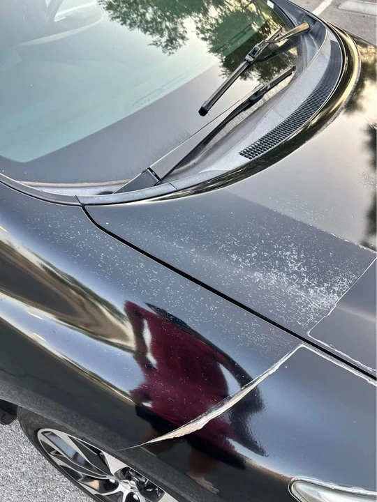 2013 Honda Civic Si 9th Gen - Image 16 of 20