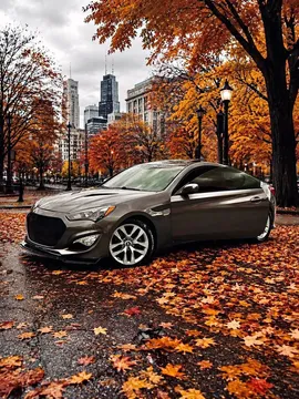 2013 Hyundai Genesis Coupe 2.0T Premium
