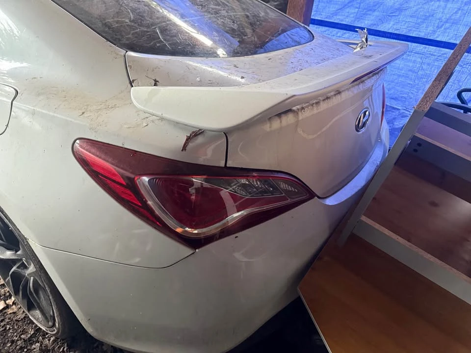 2013 Hyundai Genesis Coupe - Image 4 of 6