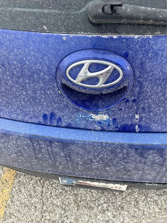 2013 Hyundai Veloster - Image 5 of 8