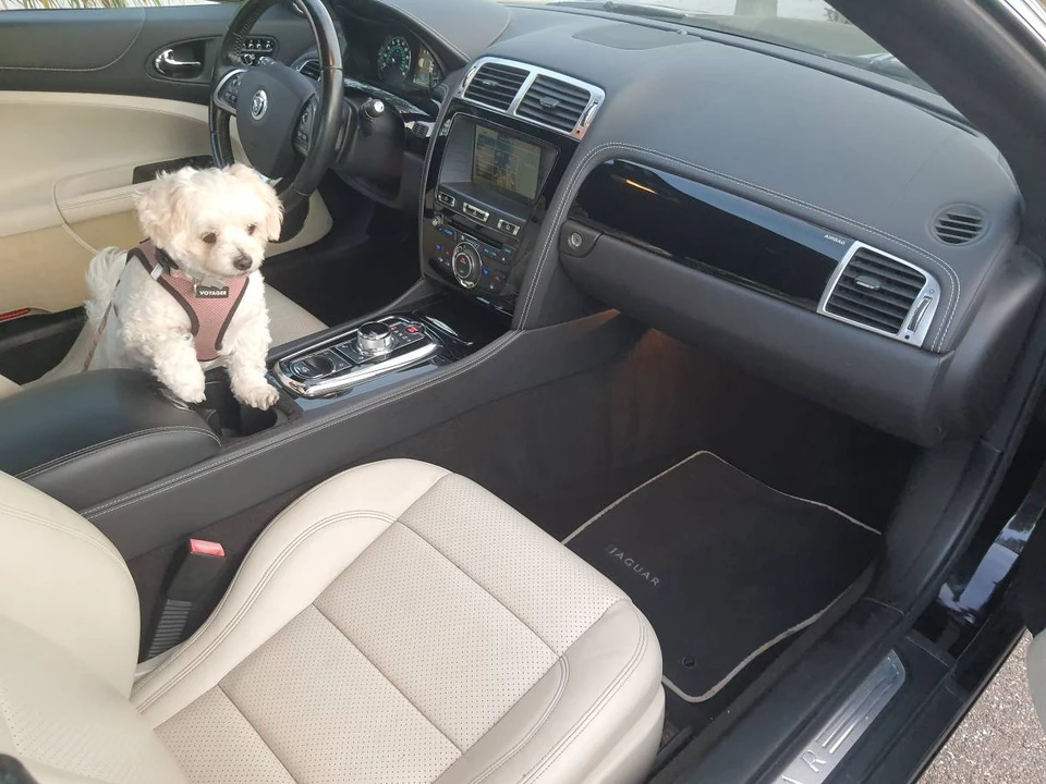 2013 Jaguar X150 XK - Image 13 of 24