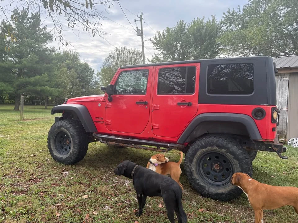 2013 Jeep JK Wrangler - Image 3 of 4