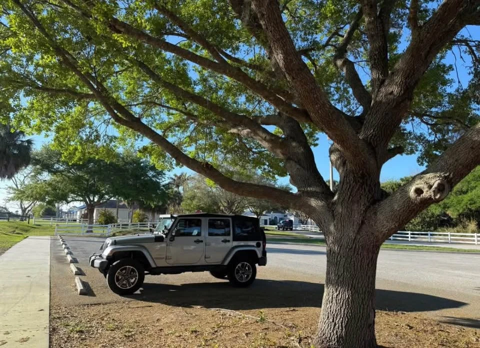 2013 Jeep JK Wrangler - Image 8 of 12