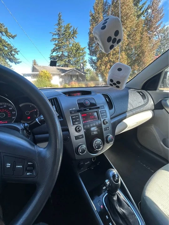 2013 Kia Forte - Image 19 of 20