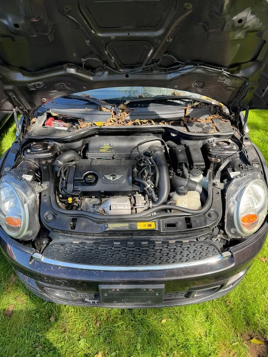 2013 Mini Mini 2nd Gen - Image 10 of 10