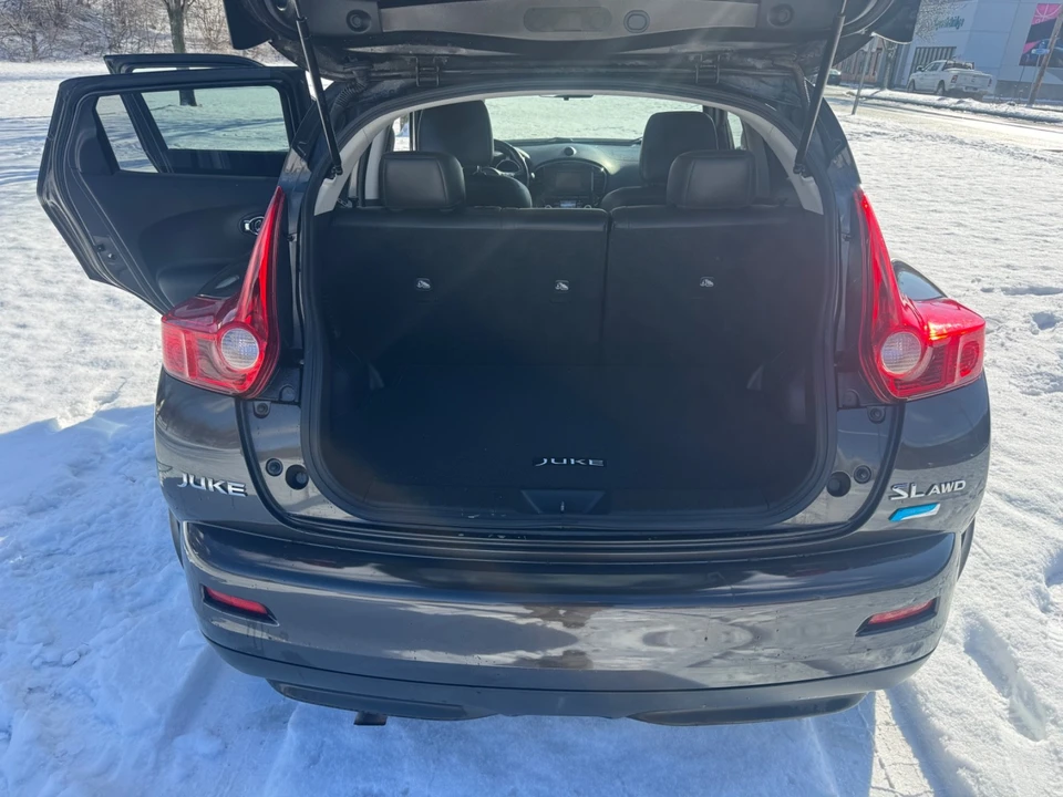 2013 Nissan Juke - Image 16 of 19