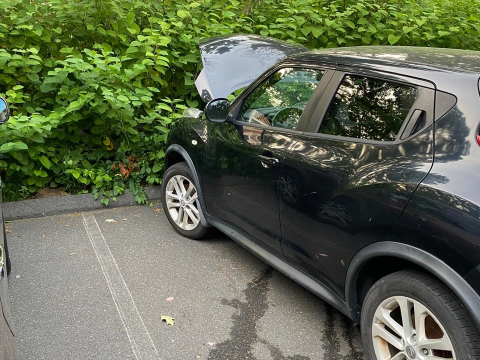 2013 Nissan Juke - Image 21 of 22