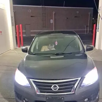 2013 Nissan Sentra LE Sedan 4D