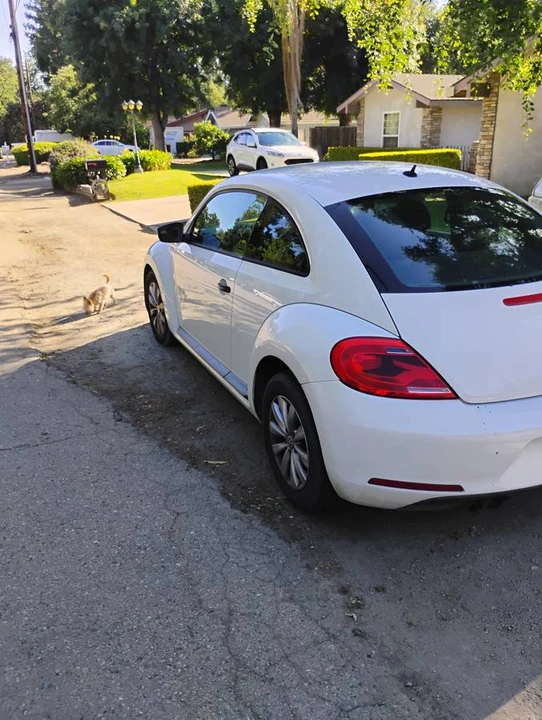 2013 Volkswagen A5 Beetle - Image 8 of 14