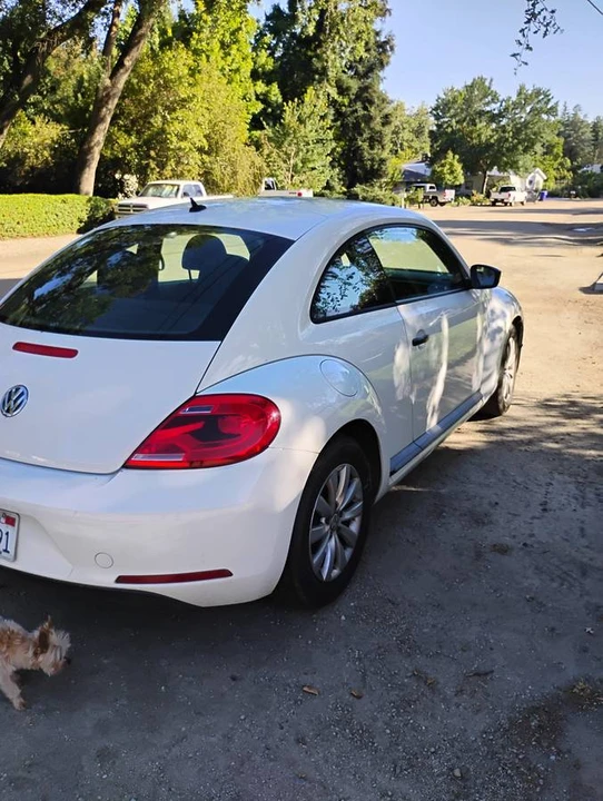 2013 Volkswagen A5 Beetle - Image 4 of 14