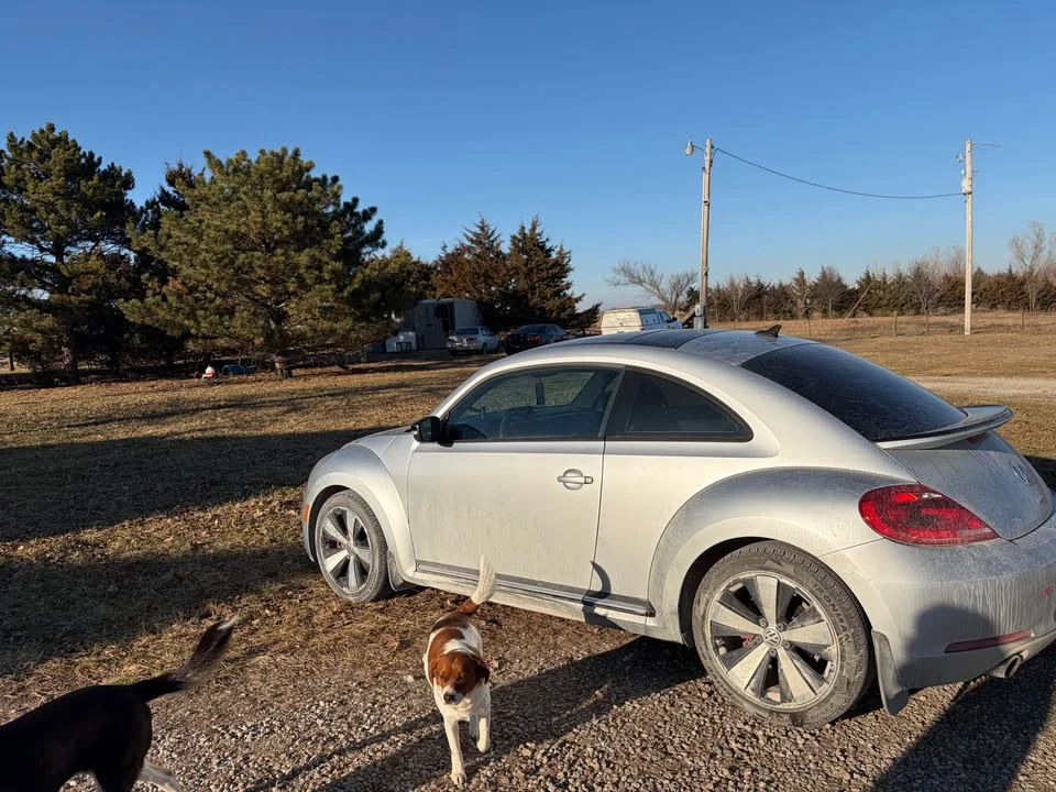 2013 Volkswagen A5 Beetle - Image 16 of 19