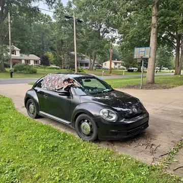 2013 Volkswagen Beetle 2.5L Hatchback 2D