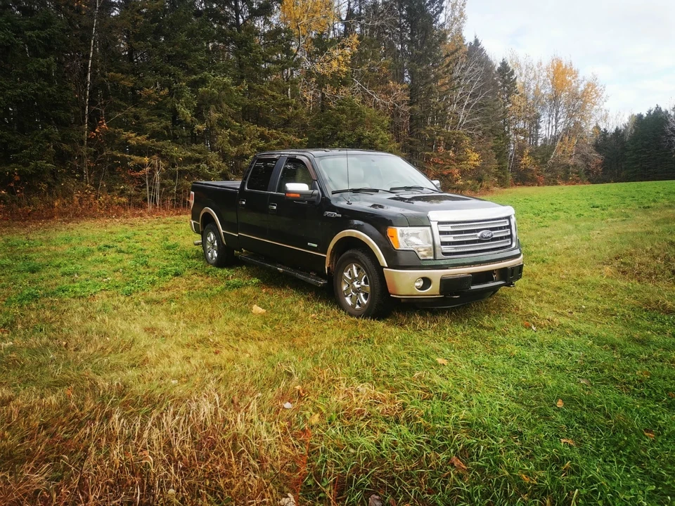Ford F-150 12th Gen - Image 6 of 10