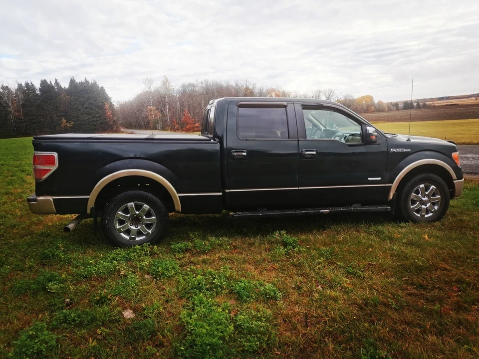 Ford F-150 12th Gen - Image 7 of 10