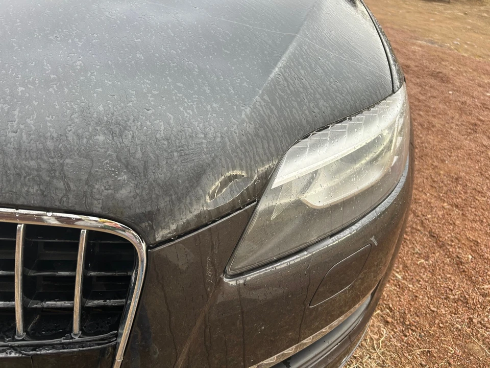 2014 Audi 4L Q7 - Image 5 of 11