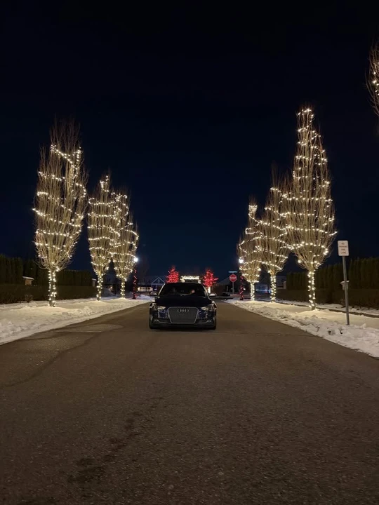 2014 Audi B8 S5 - Image 7 of 8