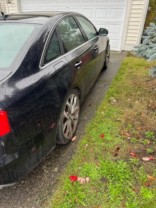2014 Audi C7 A6 - Image 6 of 6