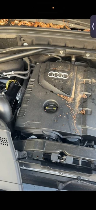 2014 Audi 8R Q5 - Image 8 of 8