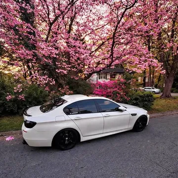 2014 BMW M5 Competition Sedan 4D