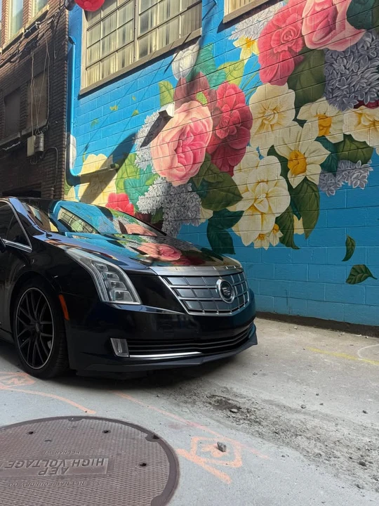 2014 Cadillac ELR - Image 20 of 20
