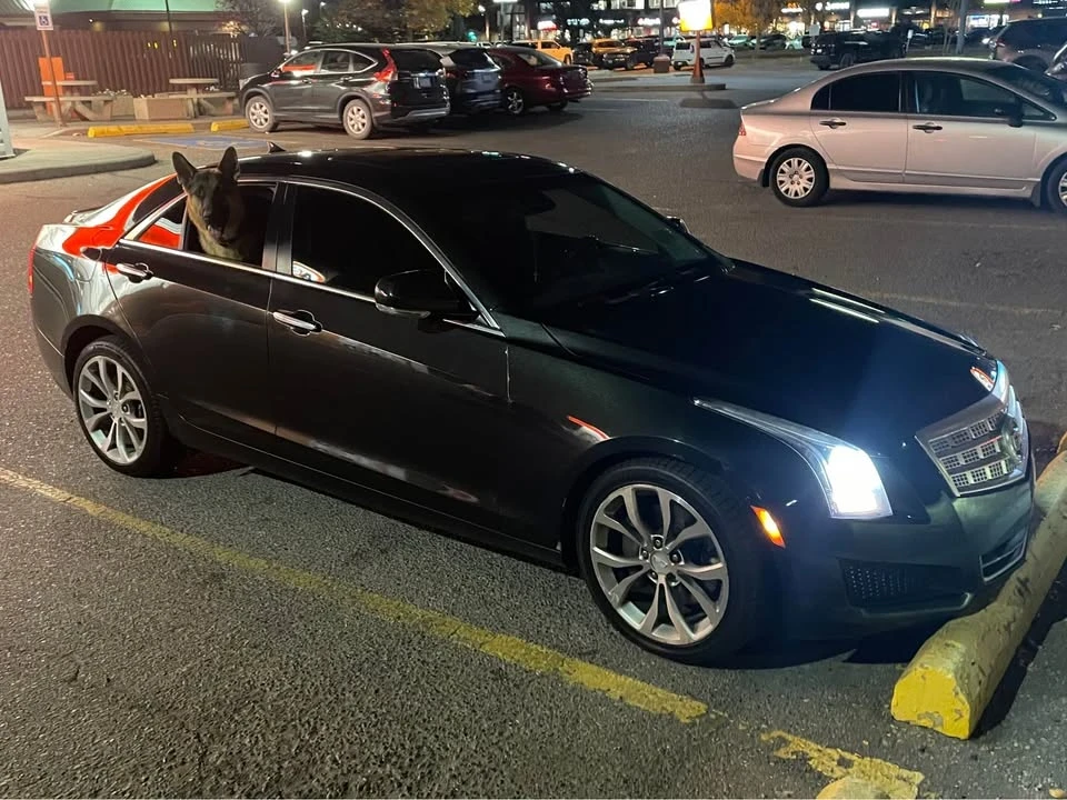 2014 Cadillac ATS - Image 4 of 5