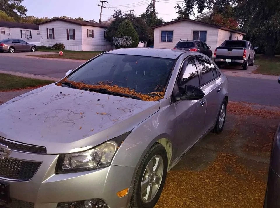 2014 Chevrolet Cruze - Image 3 of 6