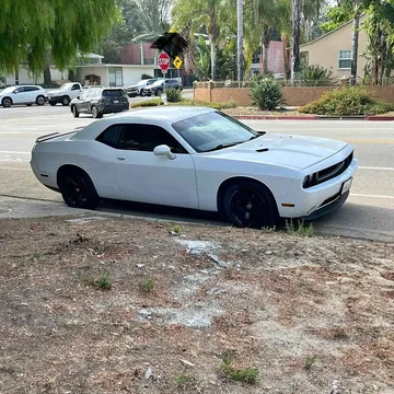 2014 Dodge Challenger SXT Coupe 2D