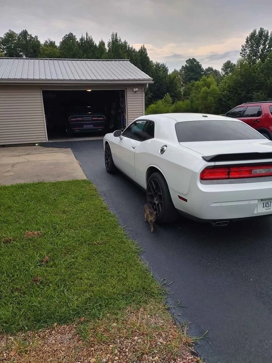 2014 Dodge Challenger 3rd Gen - Image 4 of 9
