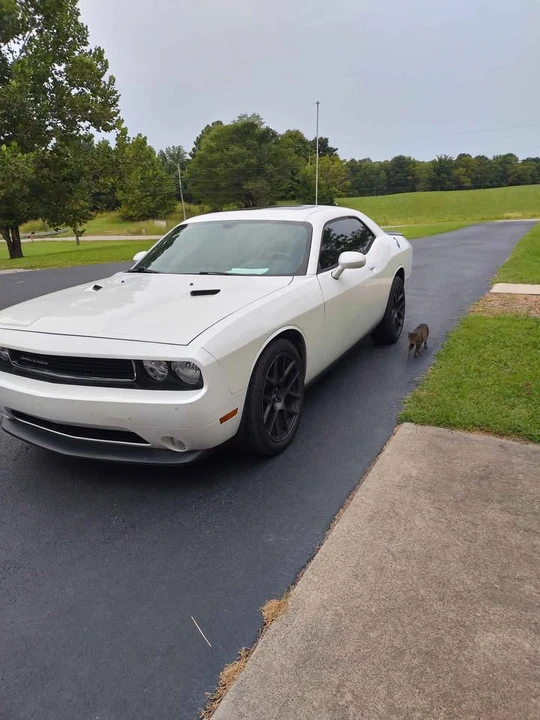 2014 Dodge Challenger 3rd Gen - Image 2 of 9