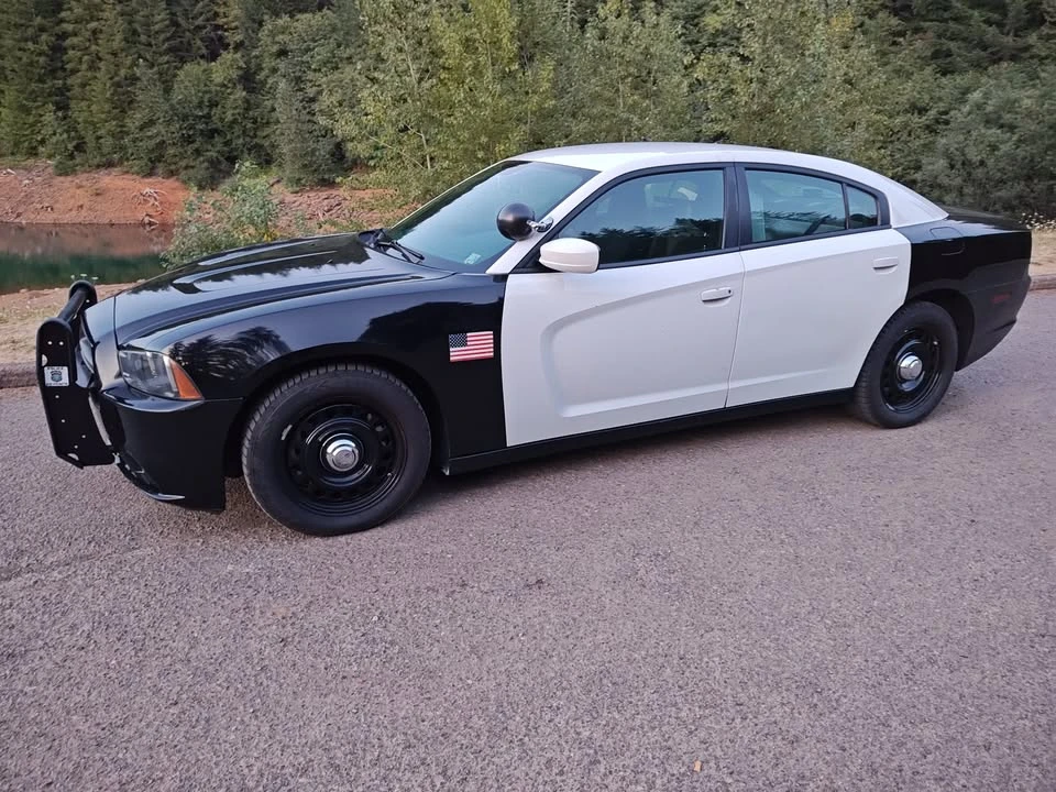 2014 Dodge Charger 7th Gen - Image 4 of 8