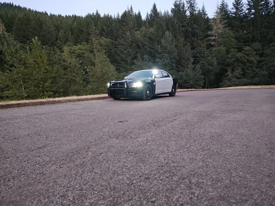 2014 Dodge Charger 7th Gen - Image 2 of 8