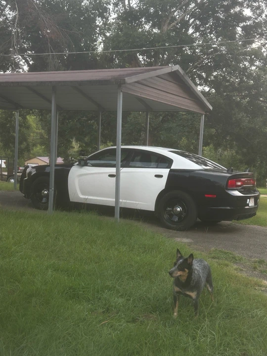 2014 Dodge Charger 7th Gen - Image 2 of 19