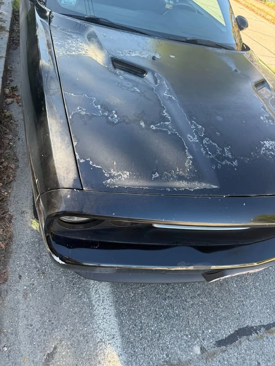 2014 Dodge Challenger 3rd Gen - Image 3 of 12