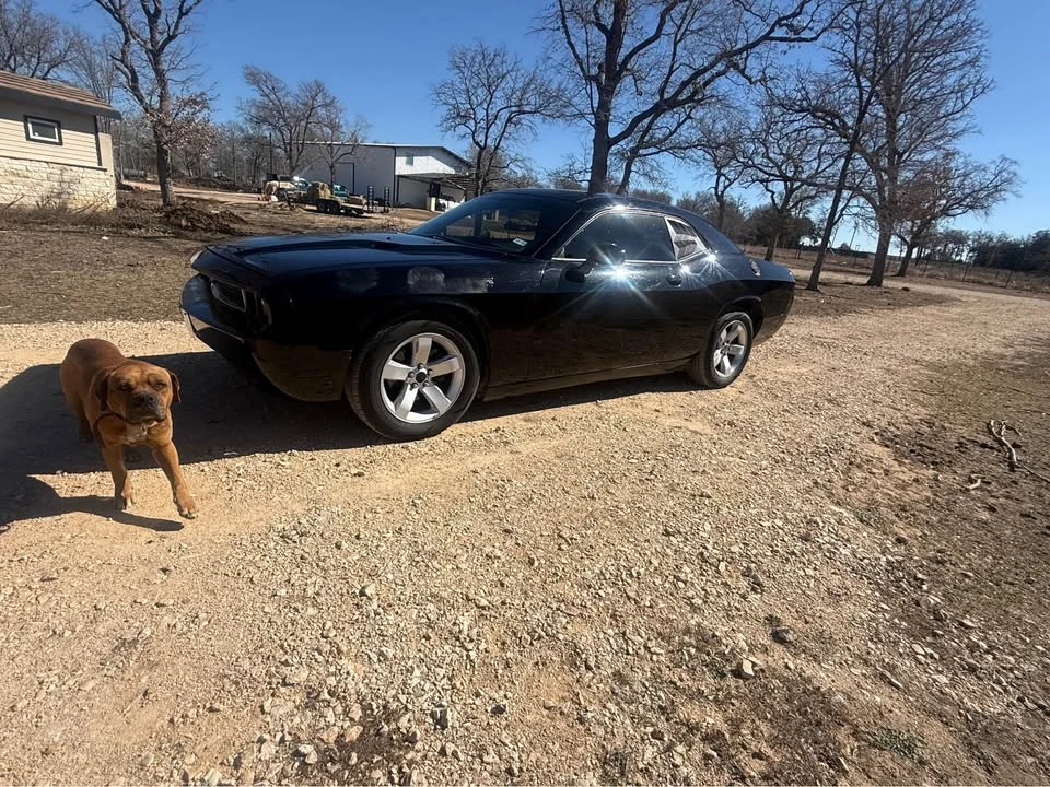 2014 Dodge Challenger 3rd Gen - Image 9 of 9