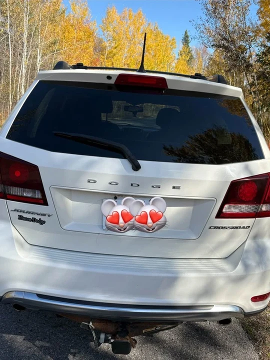 2014 Dodge Journey - Image 2 of 12