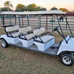 2014 Evolution 6 Seat Golf Cart