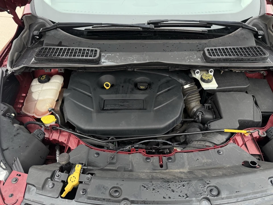 2014 Ford Escape - Image 10 of 10