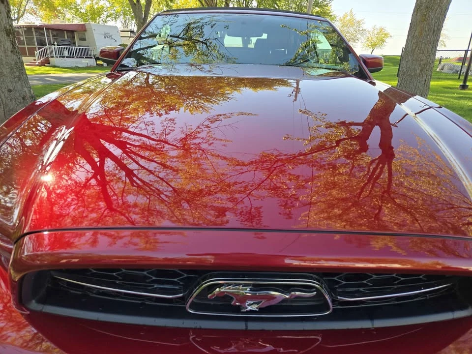 2014 Ford S197 Mustang - Image 2 of 11